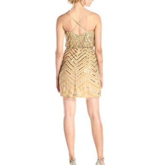 NWT Adrianna Papell Embellished‎ Mesh Blouson Dress - Picture 8 of 12